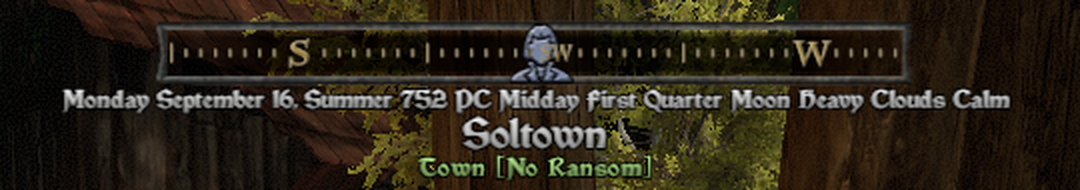 The compass strip in Soltown with the direction letters in gold, the SW letters drawing over an NPC marker icon that used to hide them