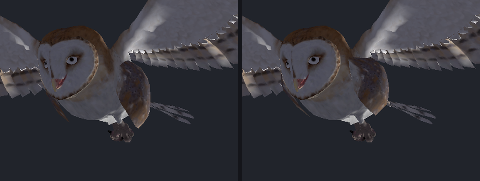 Barn Owl pet in flight, before and after the wing fix